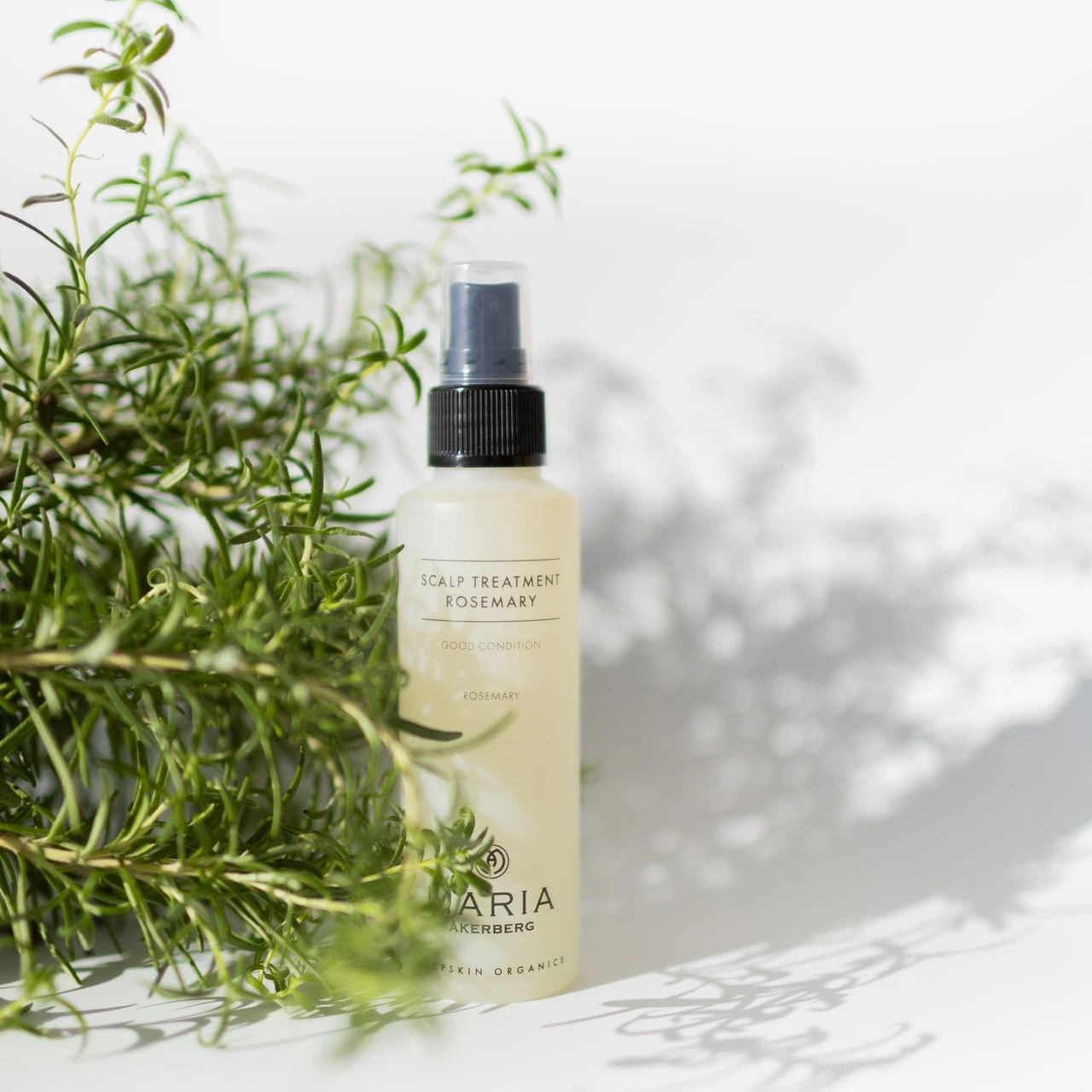 Hautpflegeprodukt von MARIA ÅKERBERG mit einem Rosmarinzweig als Hinweis auf die natürlichen Inhaltsstoffe unserer Hautpflege.